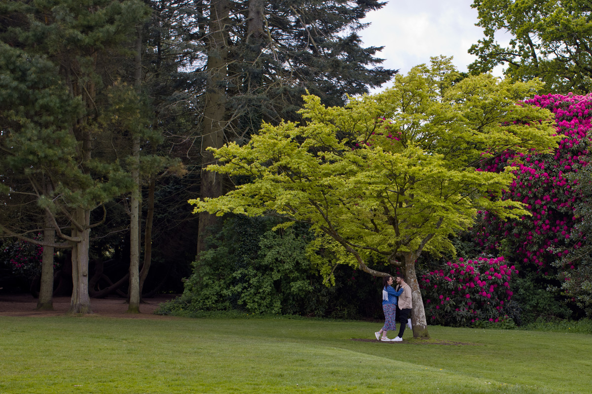 engagement photographer lady dixon park