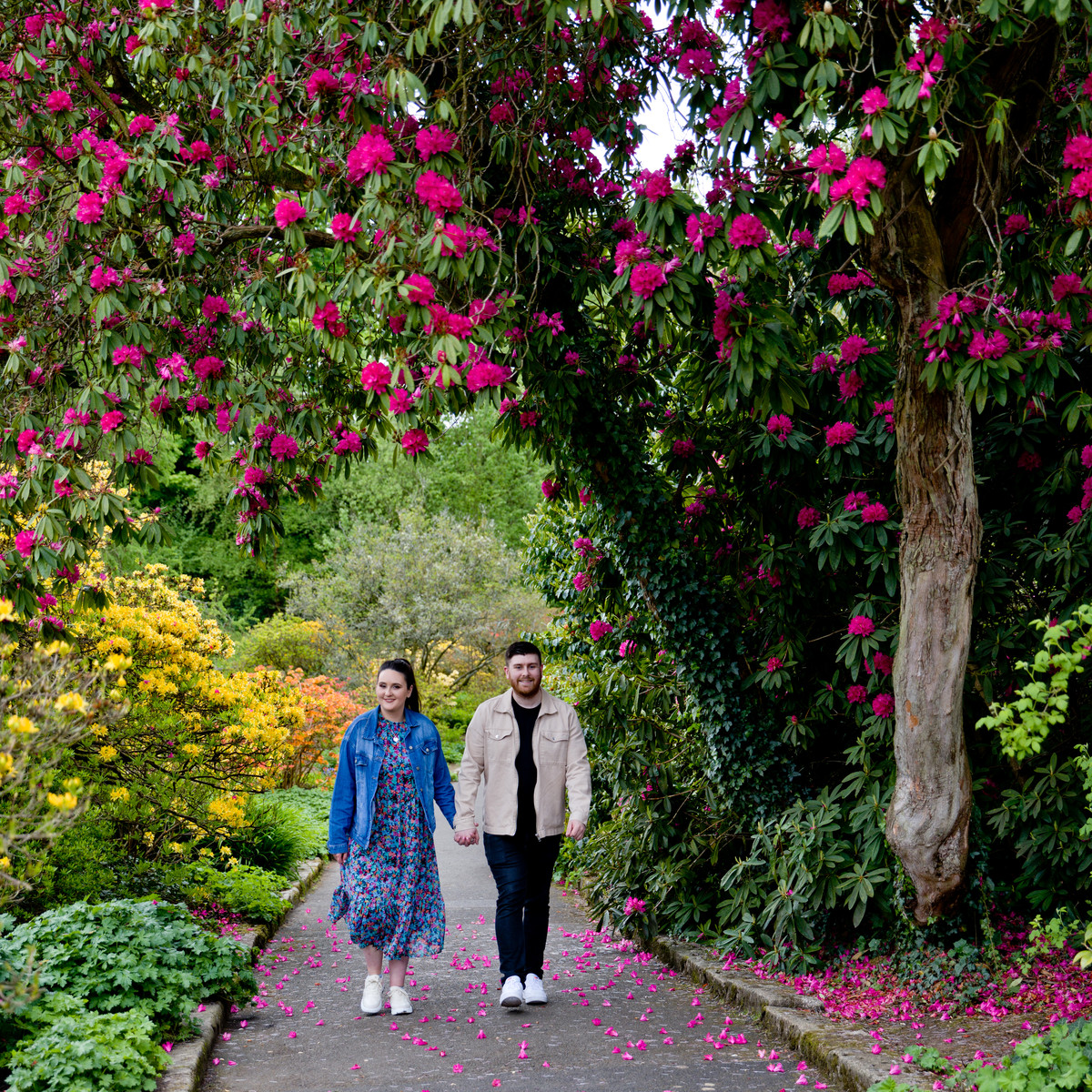 engagement photographer lady dixon park